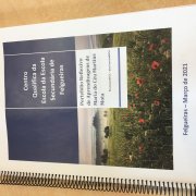 Júri de Certificação de nível secundário realizado em 14 de abril de 2021